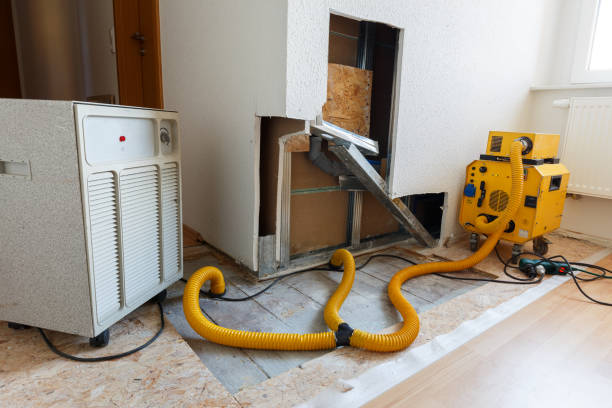Best Mold Documentation for Insurance Claims  in Cypress, CA
