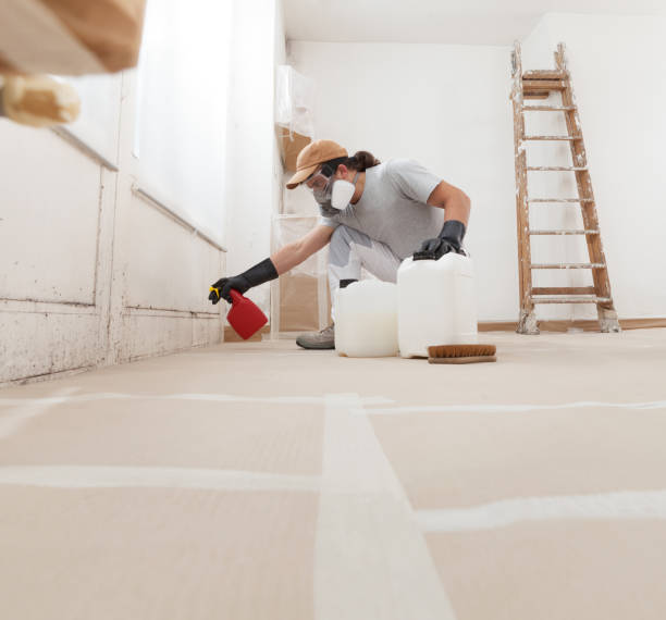 Best Commercial Mold Inspection  in Cypress, CA